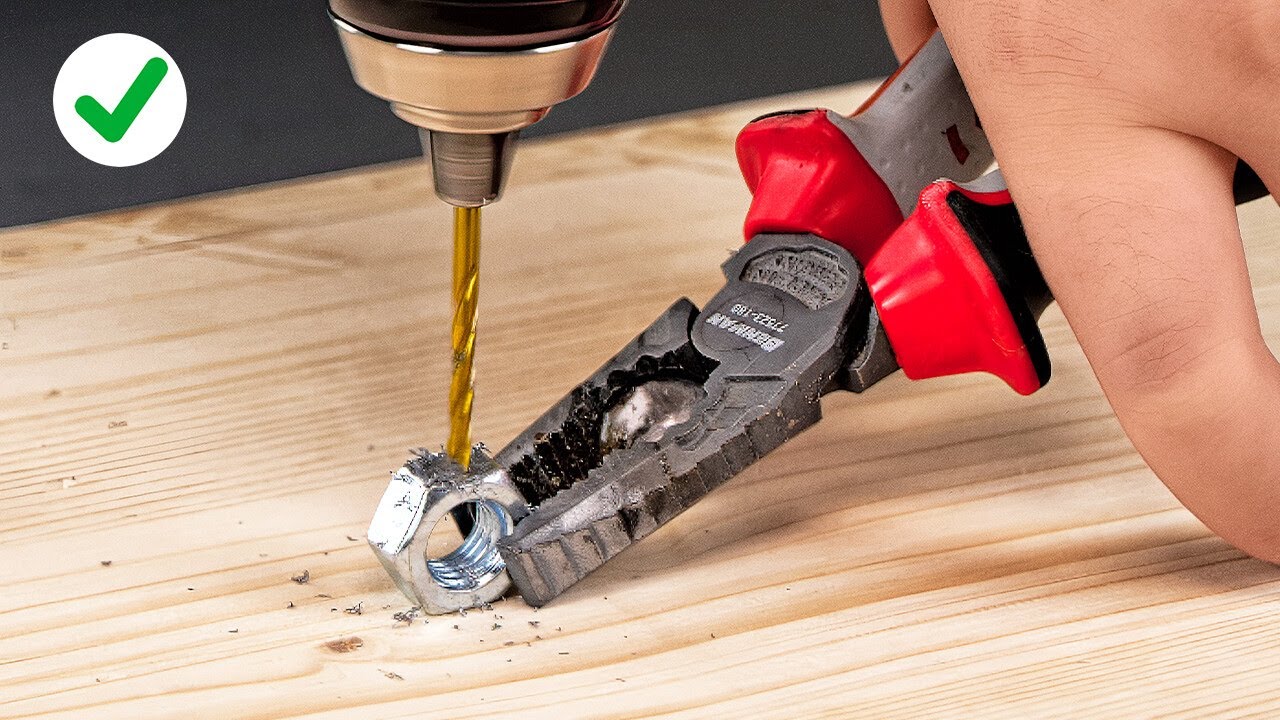 Beyond the Hobby: Taking Your Repair Expertise to the Next Level