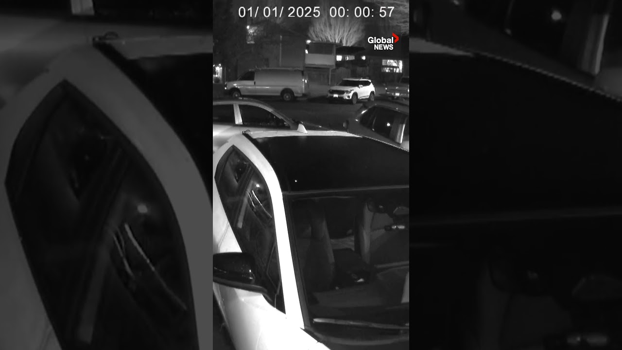 Fireworks go off in BC neighbourhood, surveillance footage shows