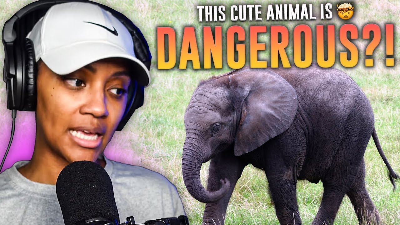 FIRST TIME REACTING TO | CASUAL GEOGRAPHIC | MOST DANGEROUS BABY ON EARTH