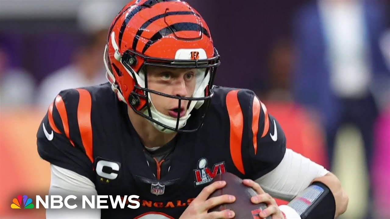 Four Chilean nationals arrested and accused of burglarizing multi-million dollar homes