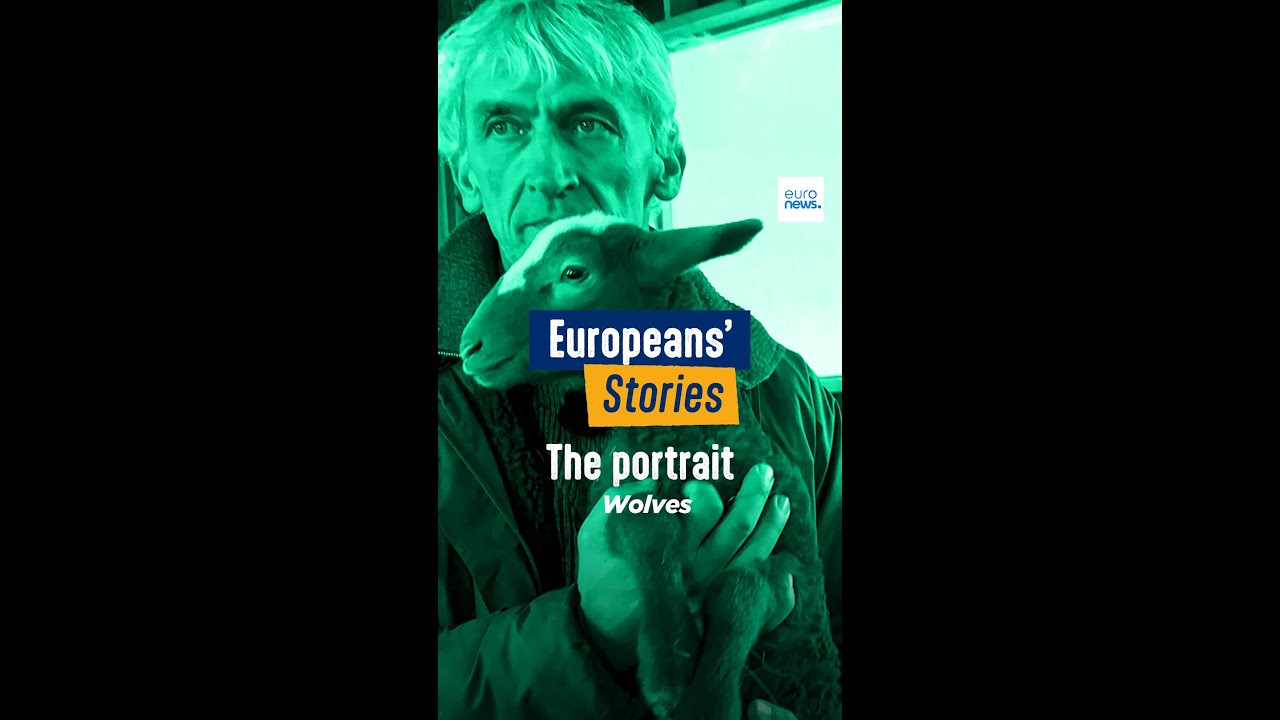 French farmers welcome the loosening of wolf protection status | Portrait – EP12