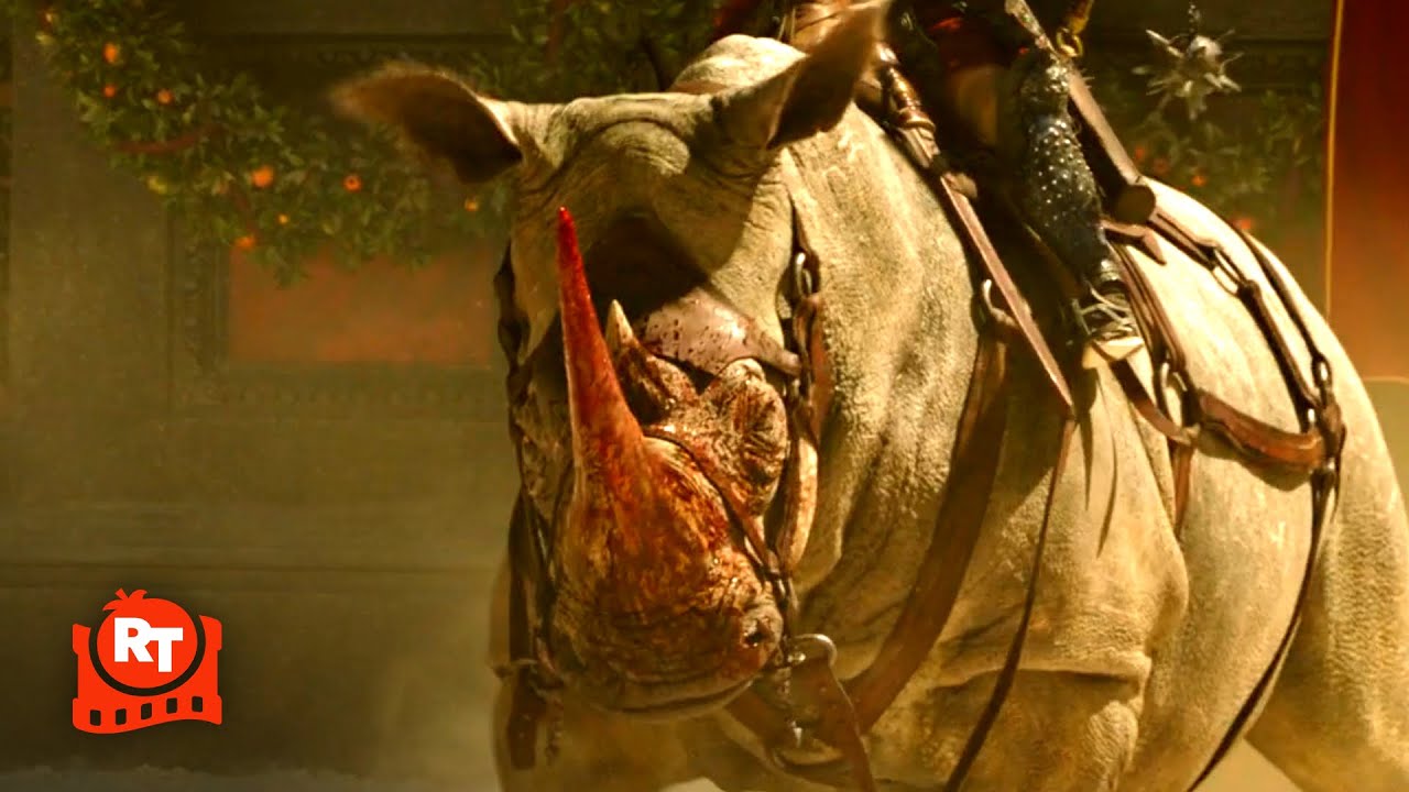 Gladiator II (2024) – BADASS WAR RHINO!!! Scene | Movieclips