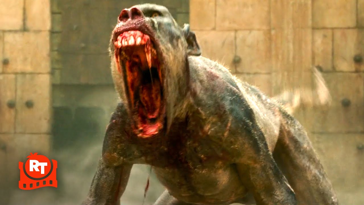 Gladiator II (2024) – Rabid Monkeys Attack Scene | Movieclips