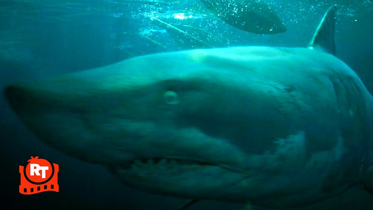 Gladiator II (2024) – Sharks vs. Gladiators Scene | Movieclips