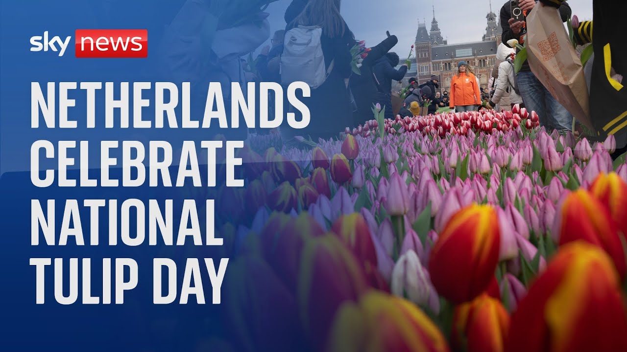 Happy National Tulip Day!