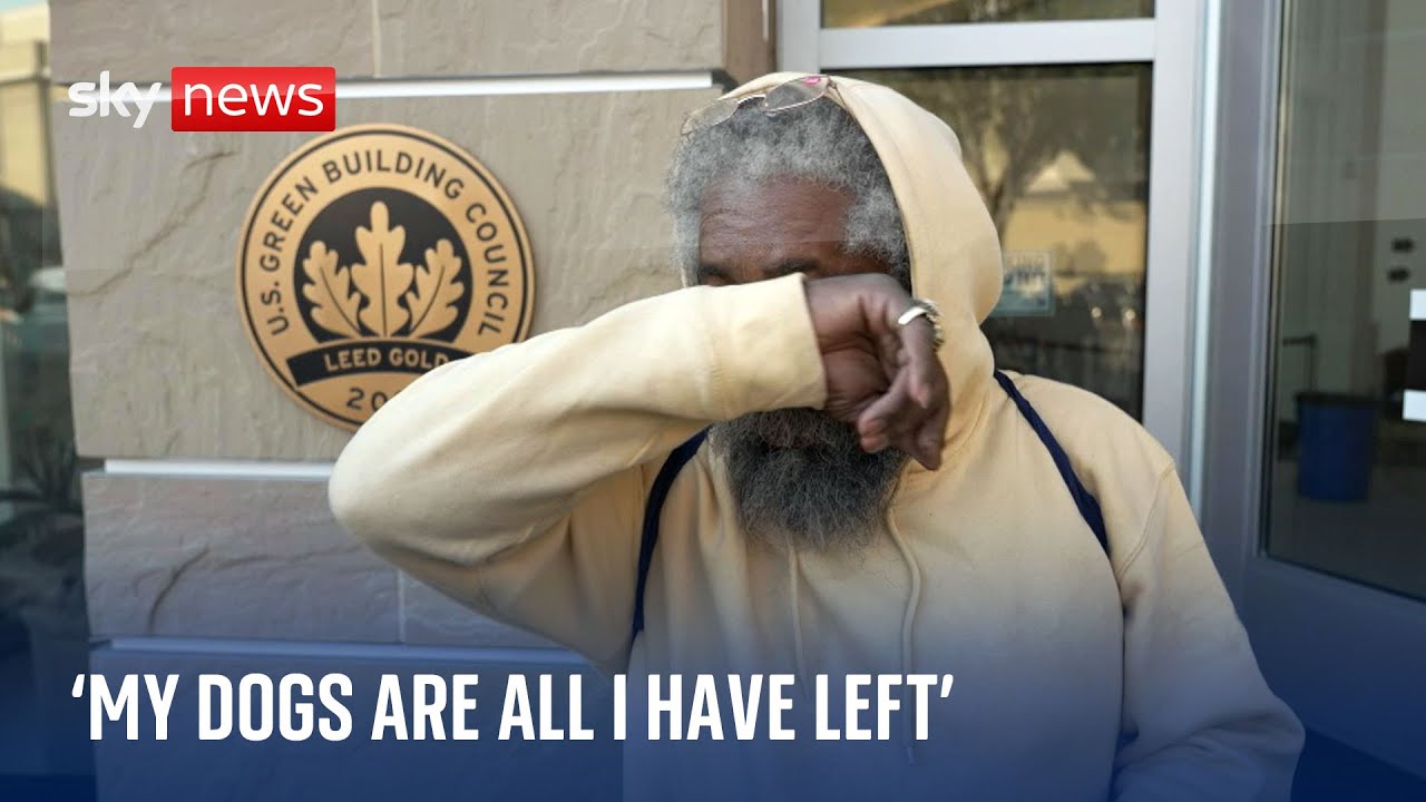 Heartbreak for Los Angeles residents who fled the flames – some with just their pets