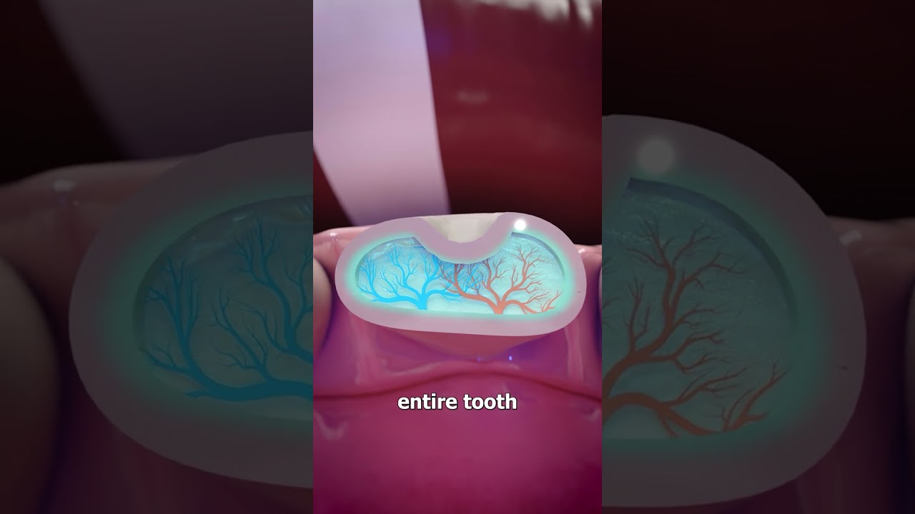 How Mayans Decorated Their Teeth 🤔