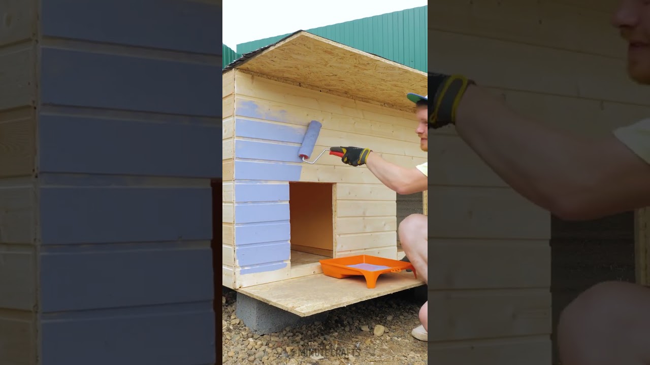 I made a lovely house for my three dogs 🐕