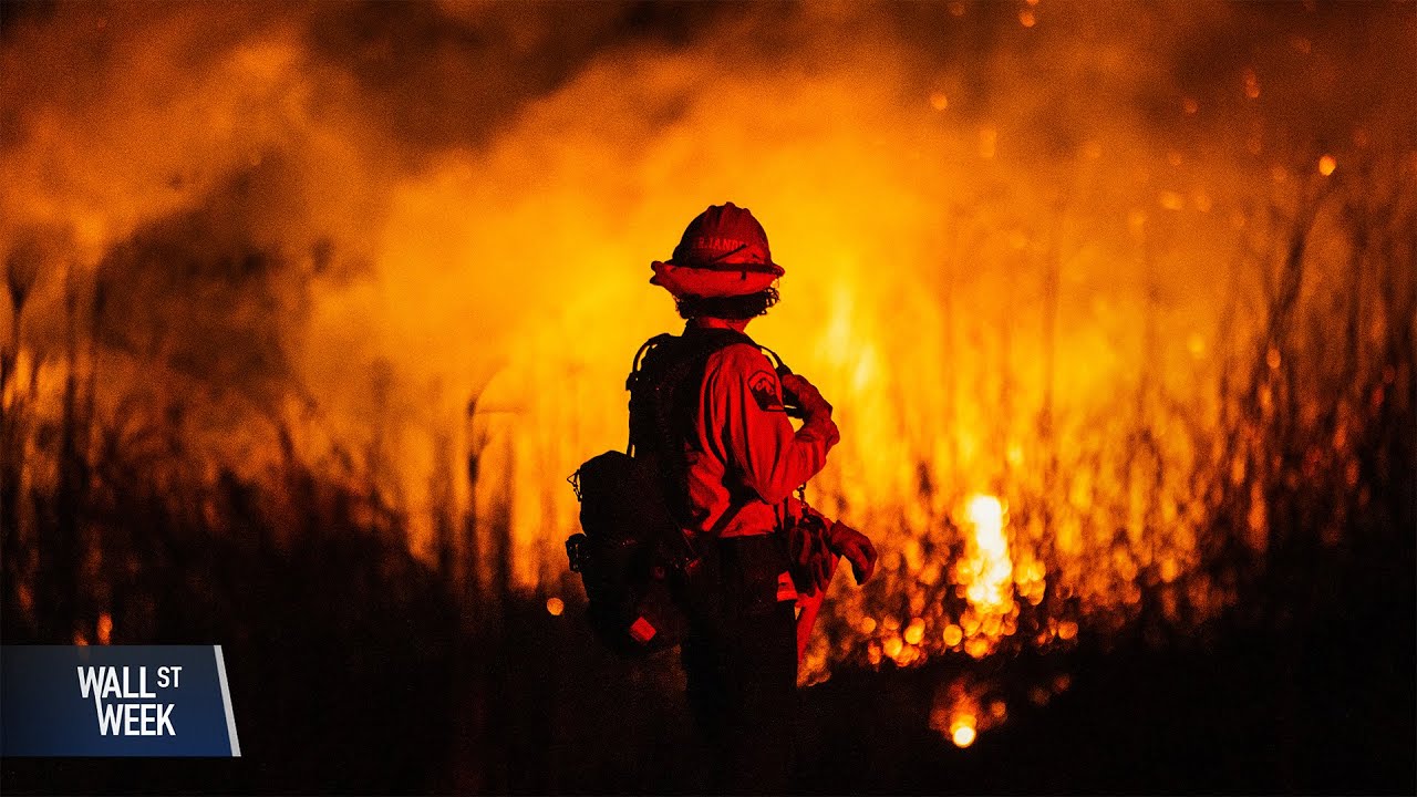 Insurance after wildfires