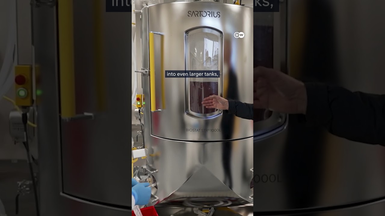 Is lab-grown meat the future of food? | DW Documentary