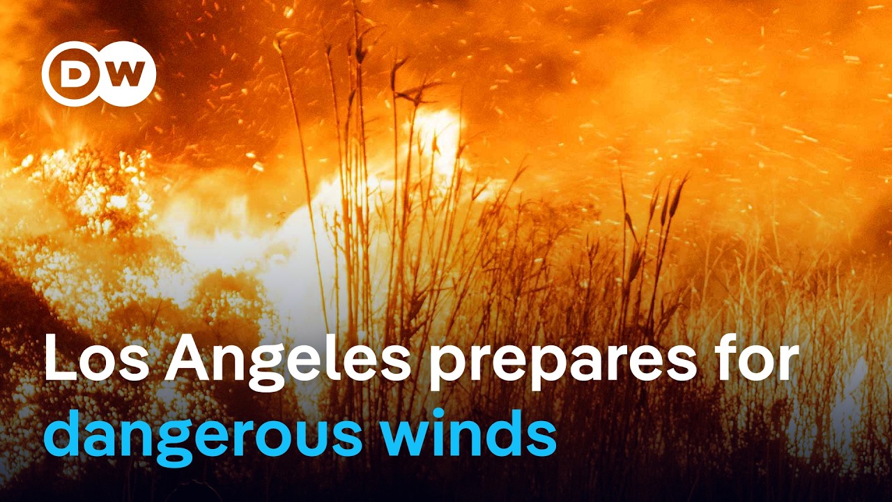 Los Angeles fires far from contained as more strong winds are expected  | DW News