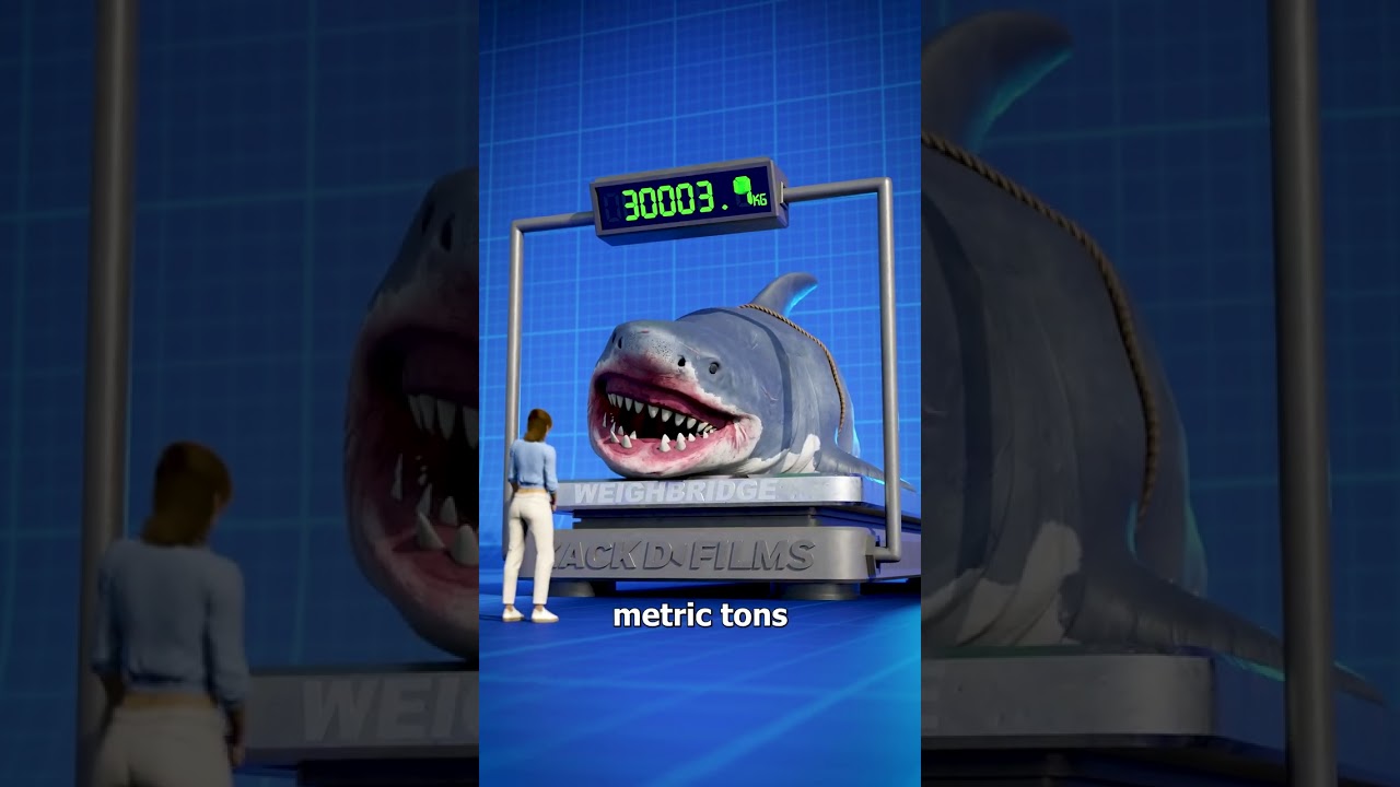 Megalodon Size Comparison 🤯