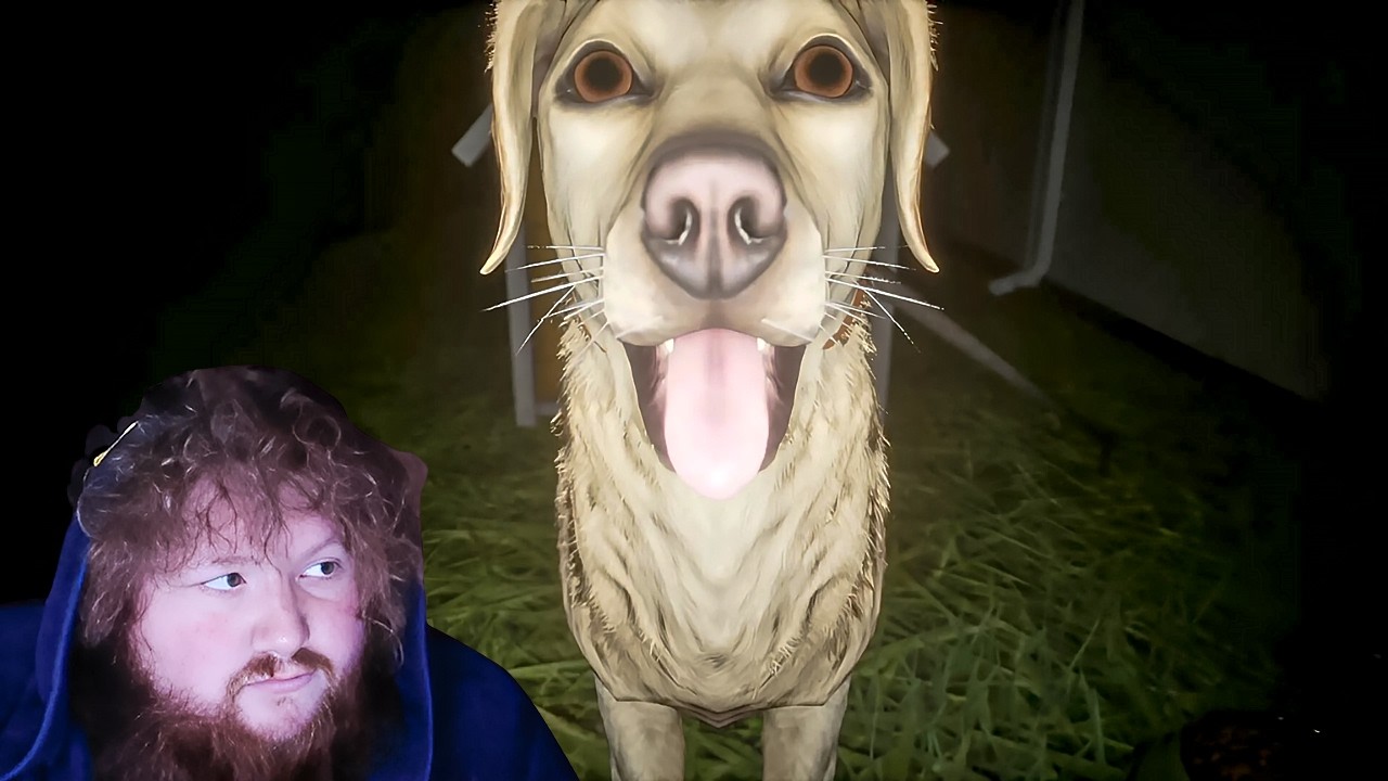 Never Walking My Dog At Night Again…