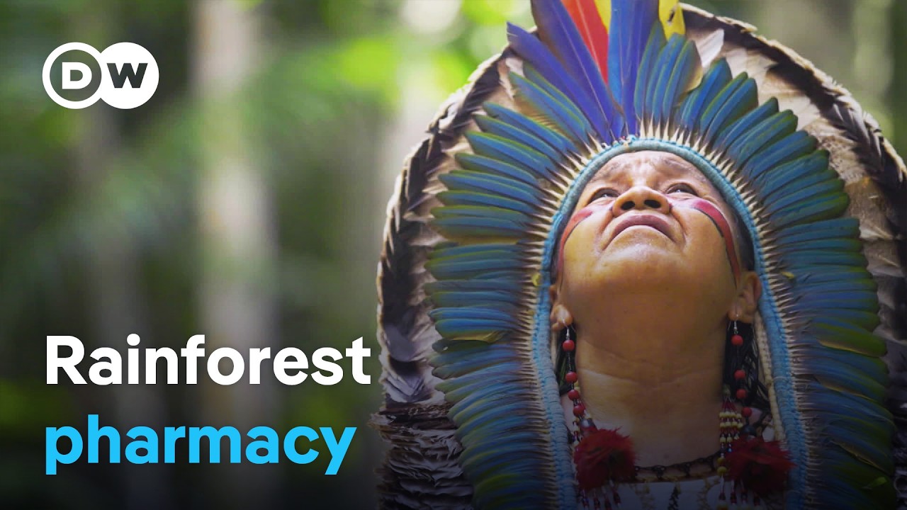 The healing powers of nature and the magical plants of the Amazon rainforest | DW Documentary