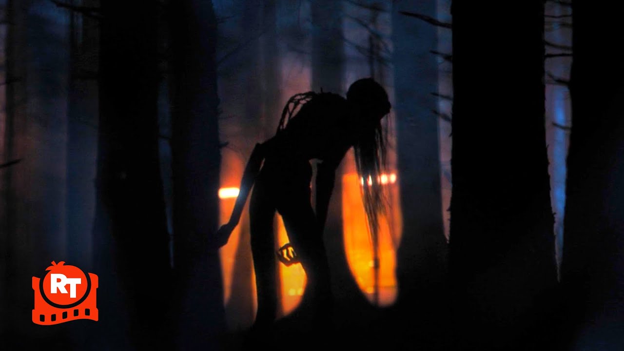 The Watchers (2024) – DAMN! THEY’RE FREAKY AS HELL! Scene | Movieclips