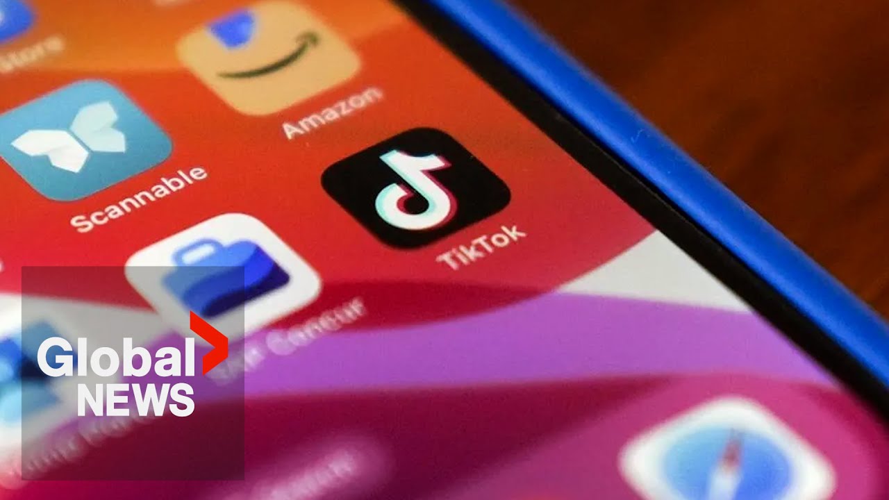 TikTok ban: How would policy be enforced under Trump presidency?