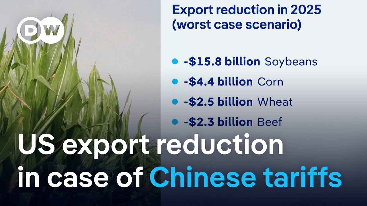 US farmers fear China’s response to Trump’s planned tarrifs | DW News