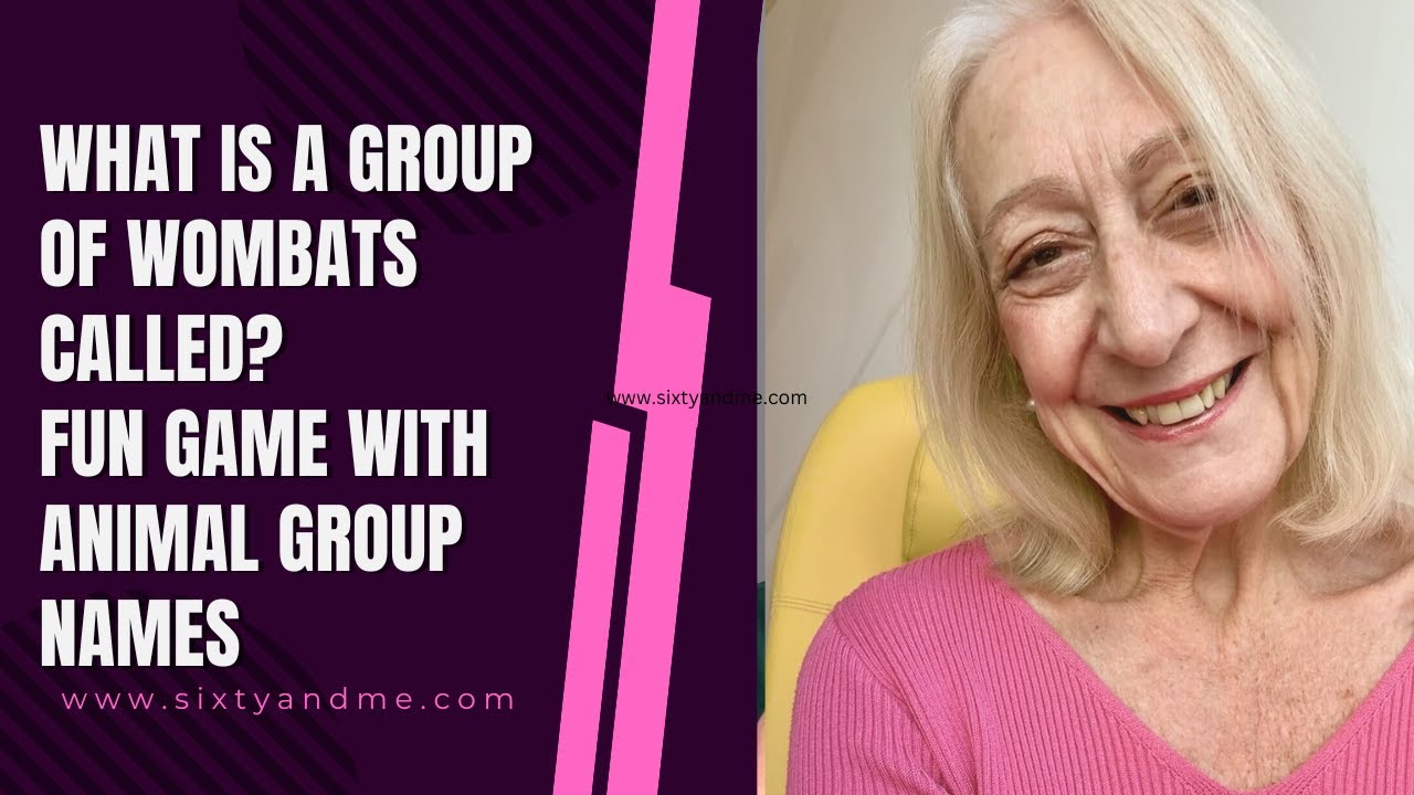 What is a Group of Wombats Called? Fun Game with Animal Group Names