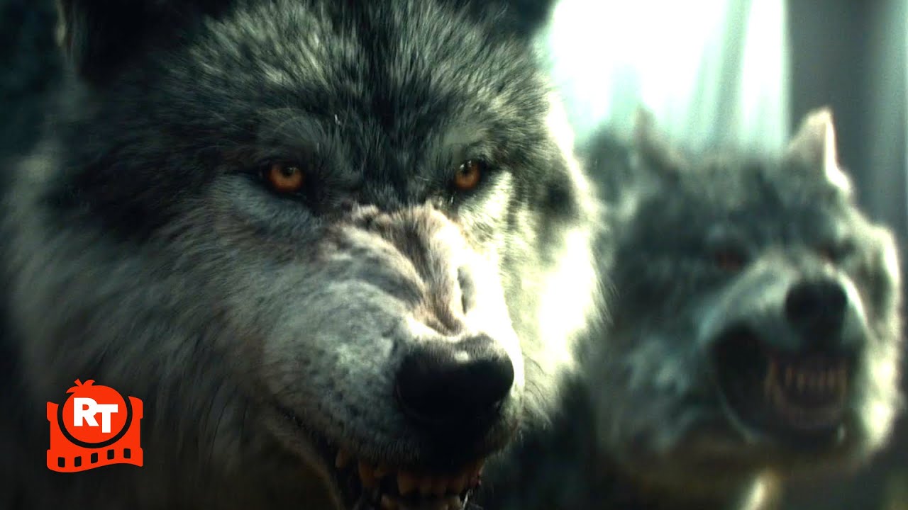 White Bird (2022) – Wolves Rip a Nazi Apart! Scene | Movieclips