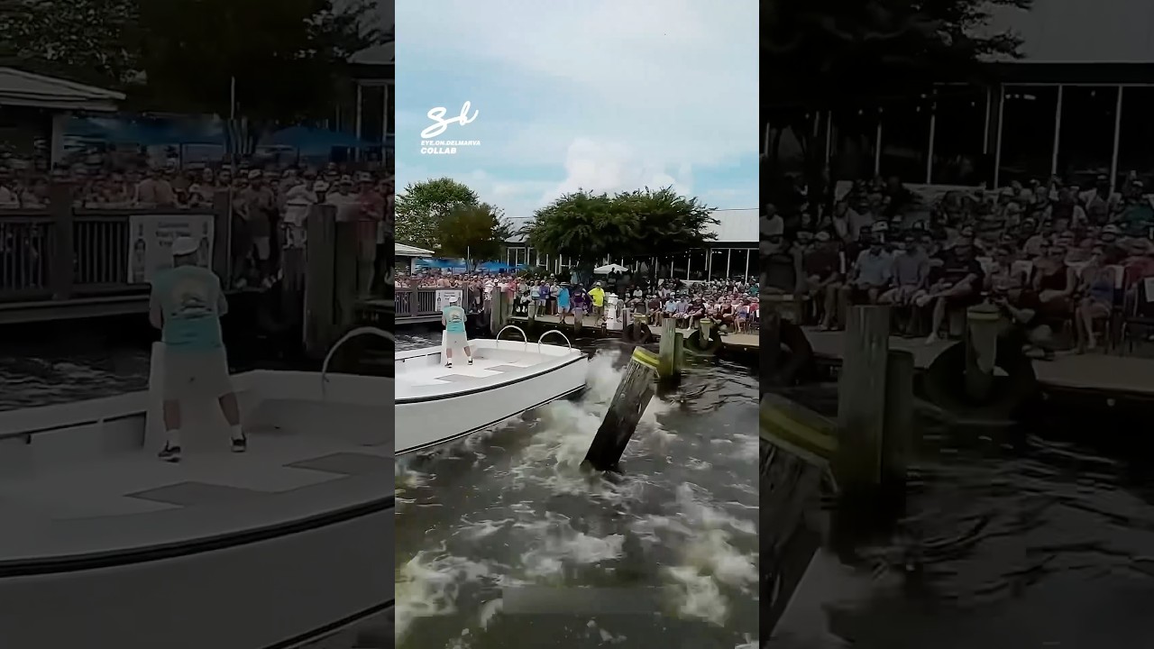 Who knew that docking was an adrenaline sport…? 🚤  #boats #docking #race