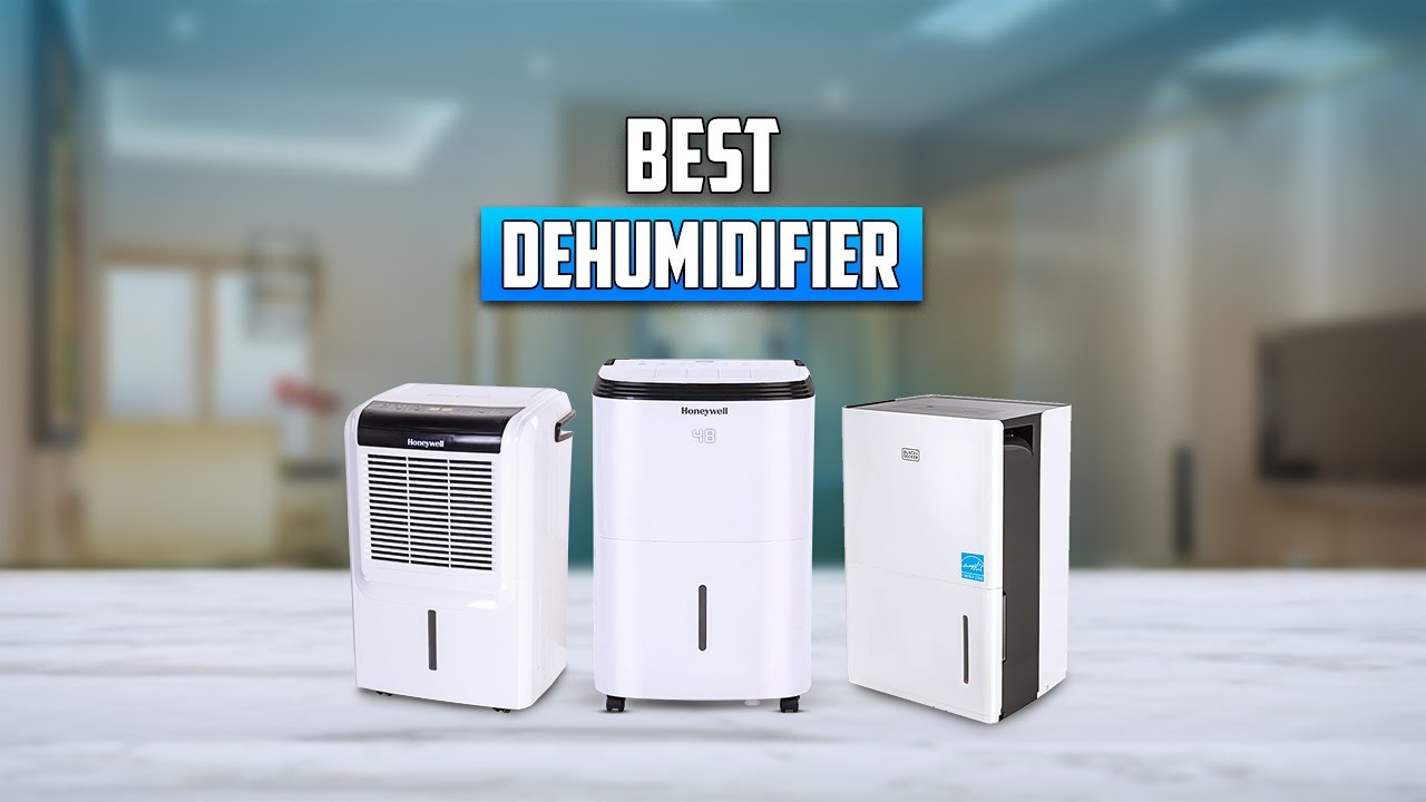 7 Best Dehumidifier You Should Buy in 2025
