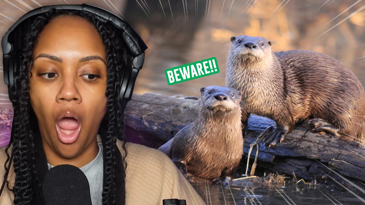 A NIGHTMARE!!! | CASUAL GEOGRAPHIC | WHY THIS ANIMAL IS A WAR CRIMINAL | REACTION