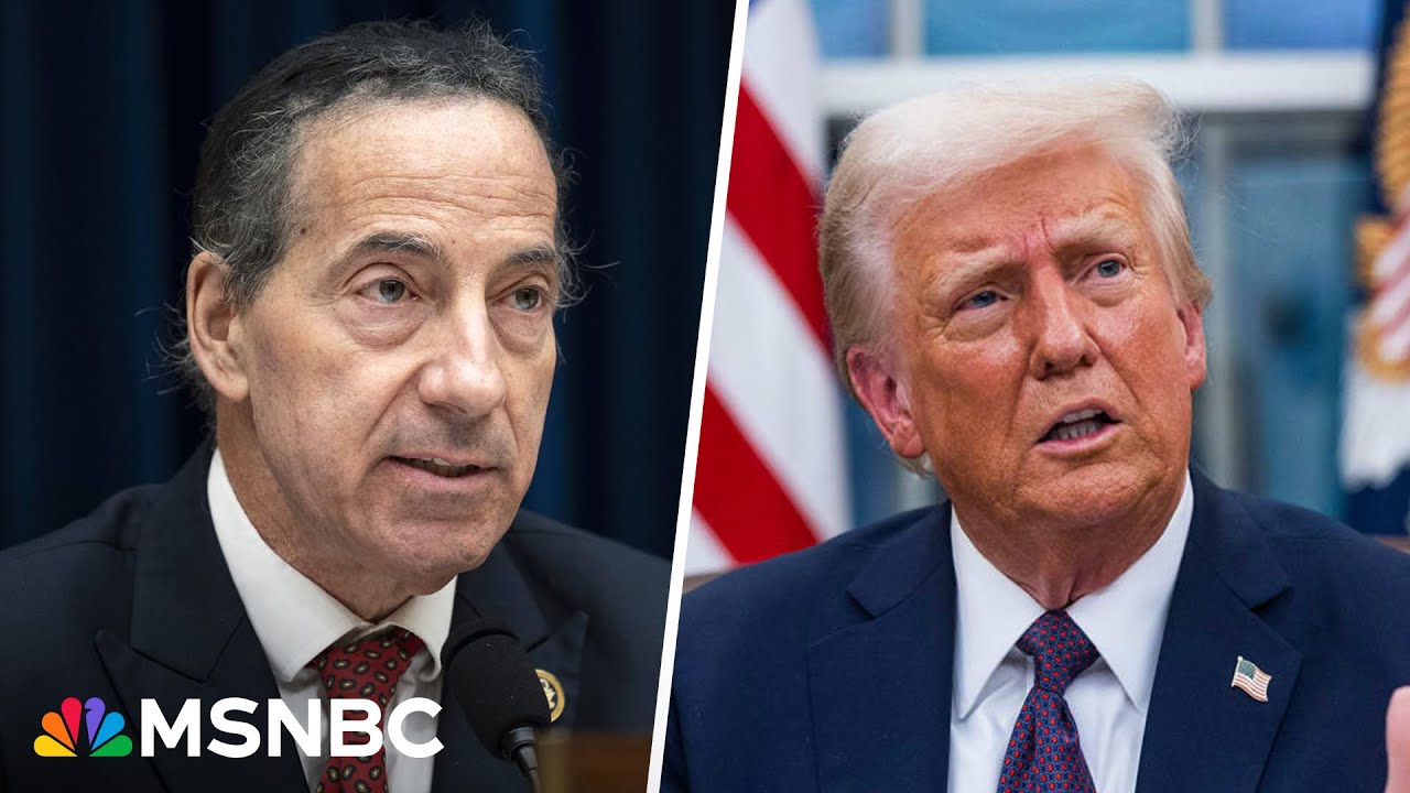 ‘A very dangerous moment’: Raskin sounds alarm on Trump’s ‘mass purge’ of government officials