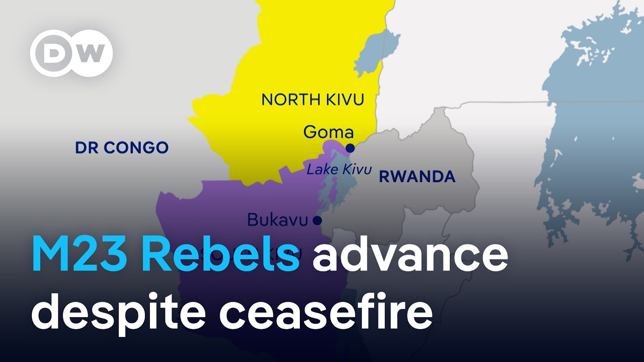 Activists accuse the European Union of fueling the violence in DR Congo | DW News