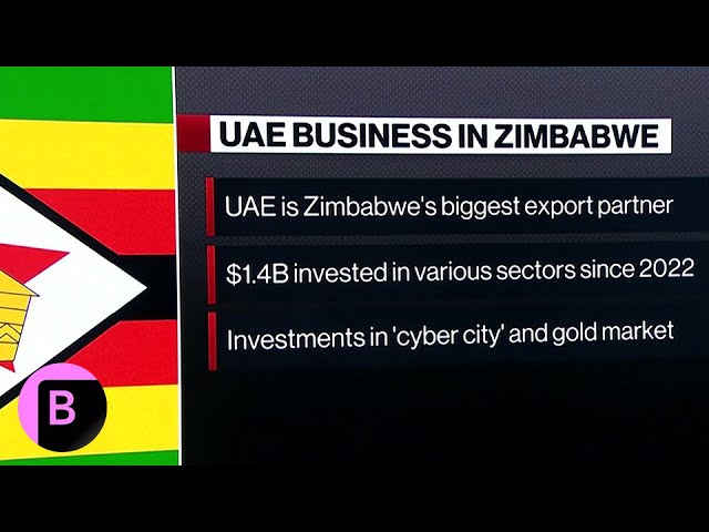 Africa, Middle East: How the UAE Became Zimbabwe’s Biggest Export Partner