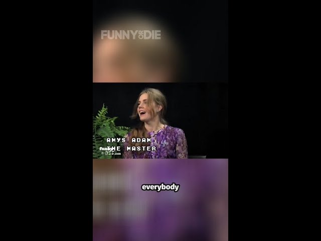 Amy Adams – Oscar Buzz Edition Part 1: Between Two Ferns with Zach Galifianakis (2013)