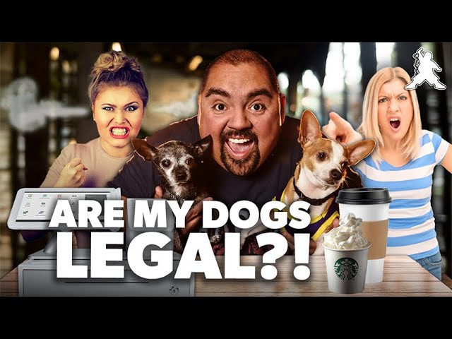 Are My Dogs Legal?! | Gabriel Iglesias