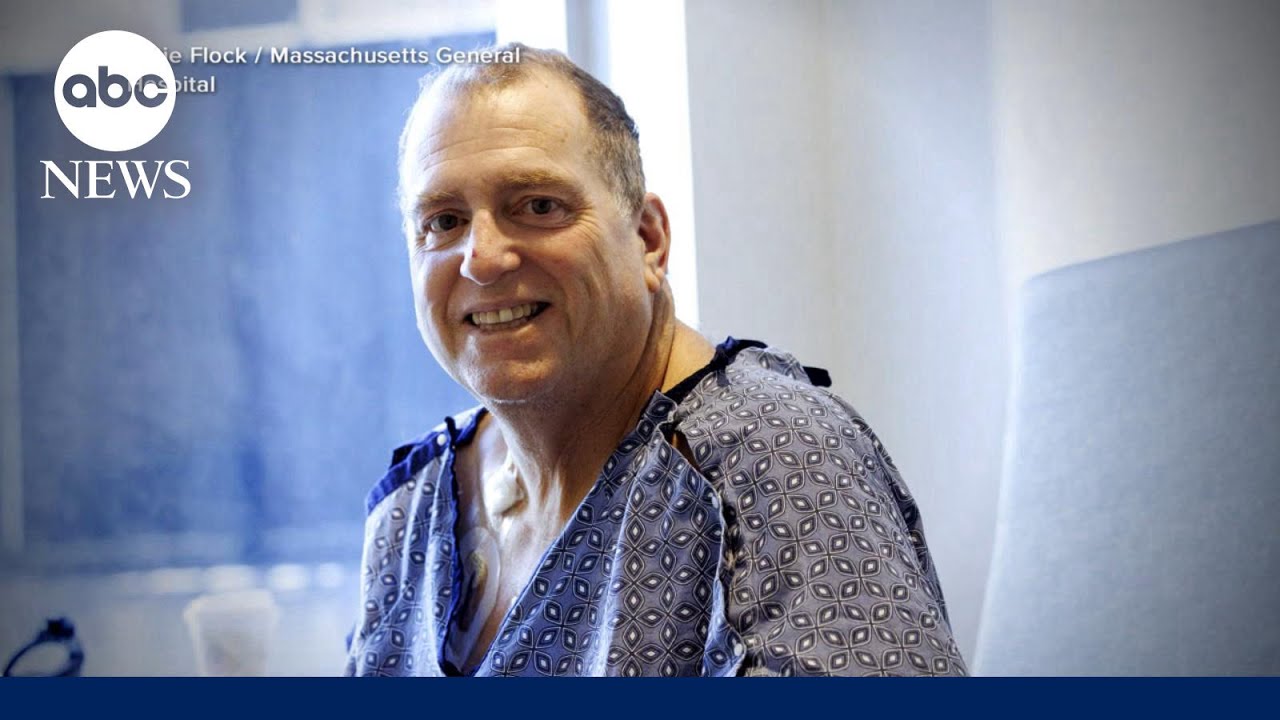 Breakthrough in animal-to-human organ transplant