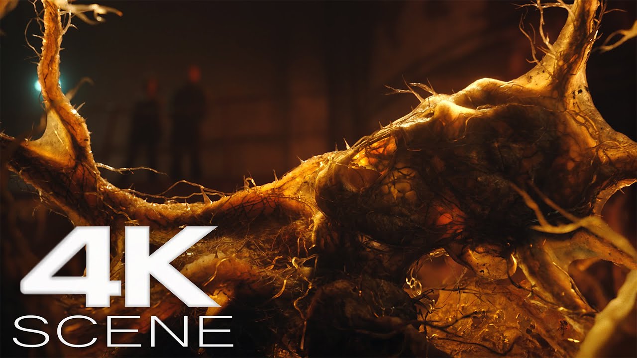 Contamination Nest and Hollow Men (2025) Fight Scene – The Gorge Movie Clip | 4K UHD