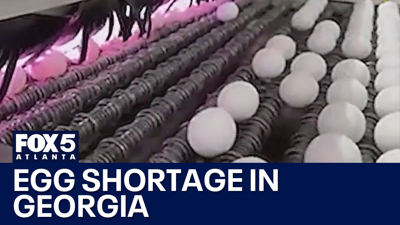 Egg prices skyrocket; what businesses are doing | FOX 5 News