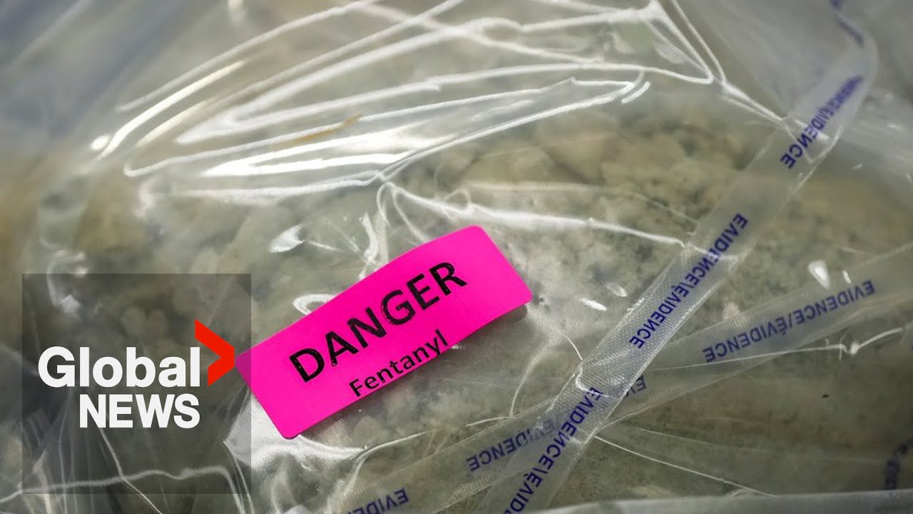Fact-checking Trump: Are “massive” amounts of fentanyl really smuggled from Canada to the US?