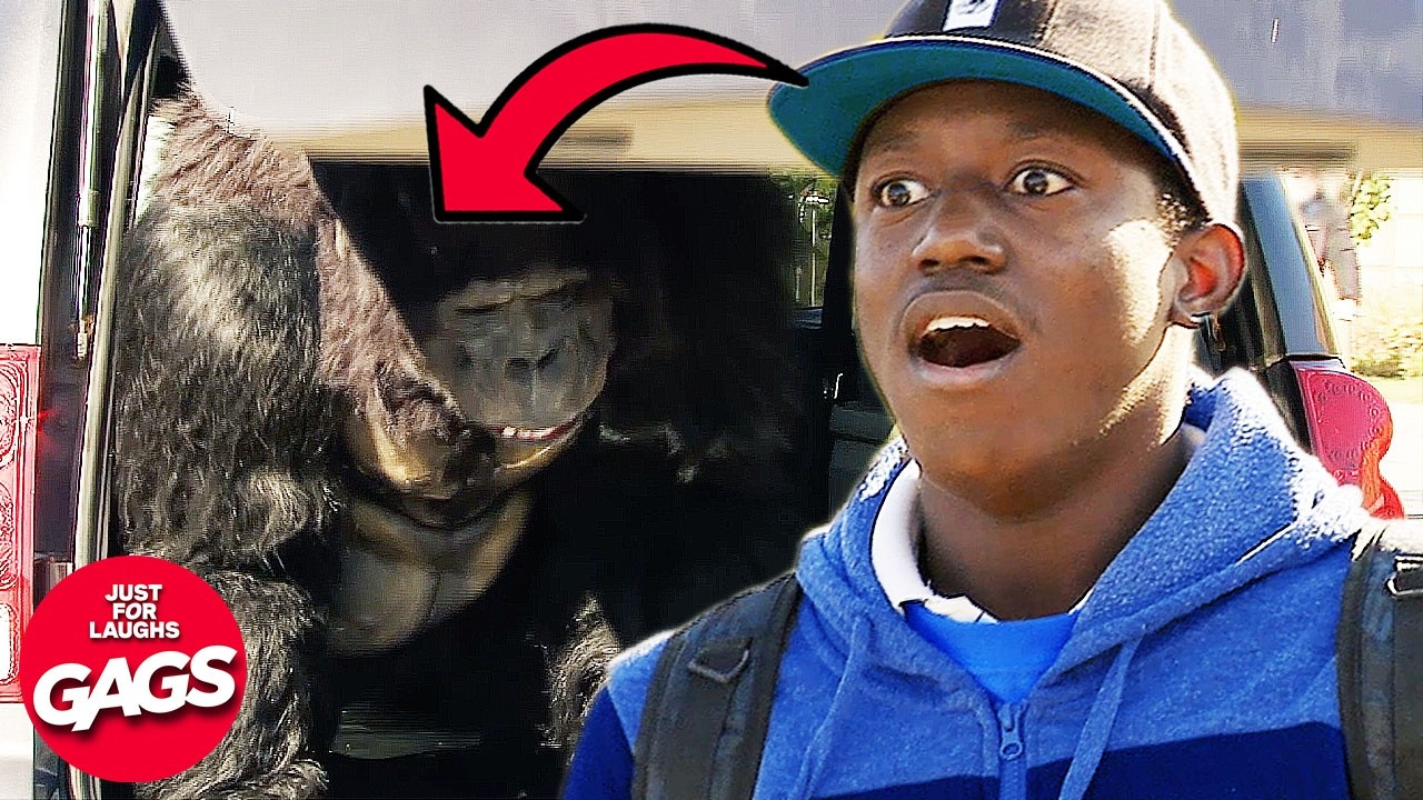 Gorilla In The Trunk SURPRISE 🦍 | Just For Laughs Gags