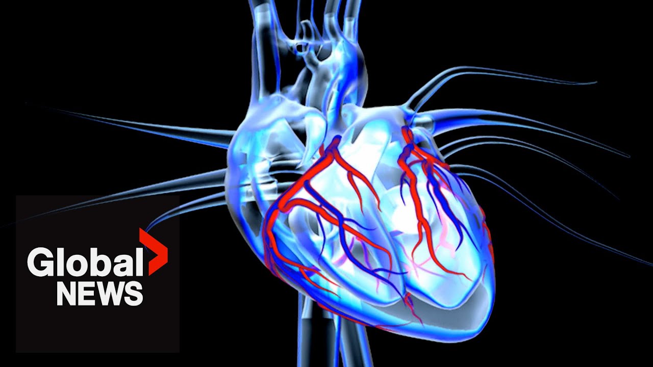 Heart conditions require lifelong care, report says
