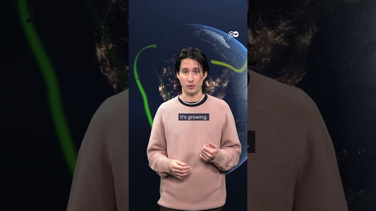 How artificial light affects animals | DW Documentary