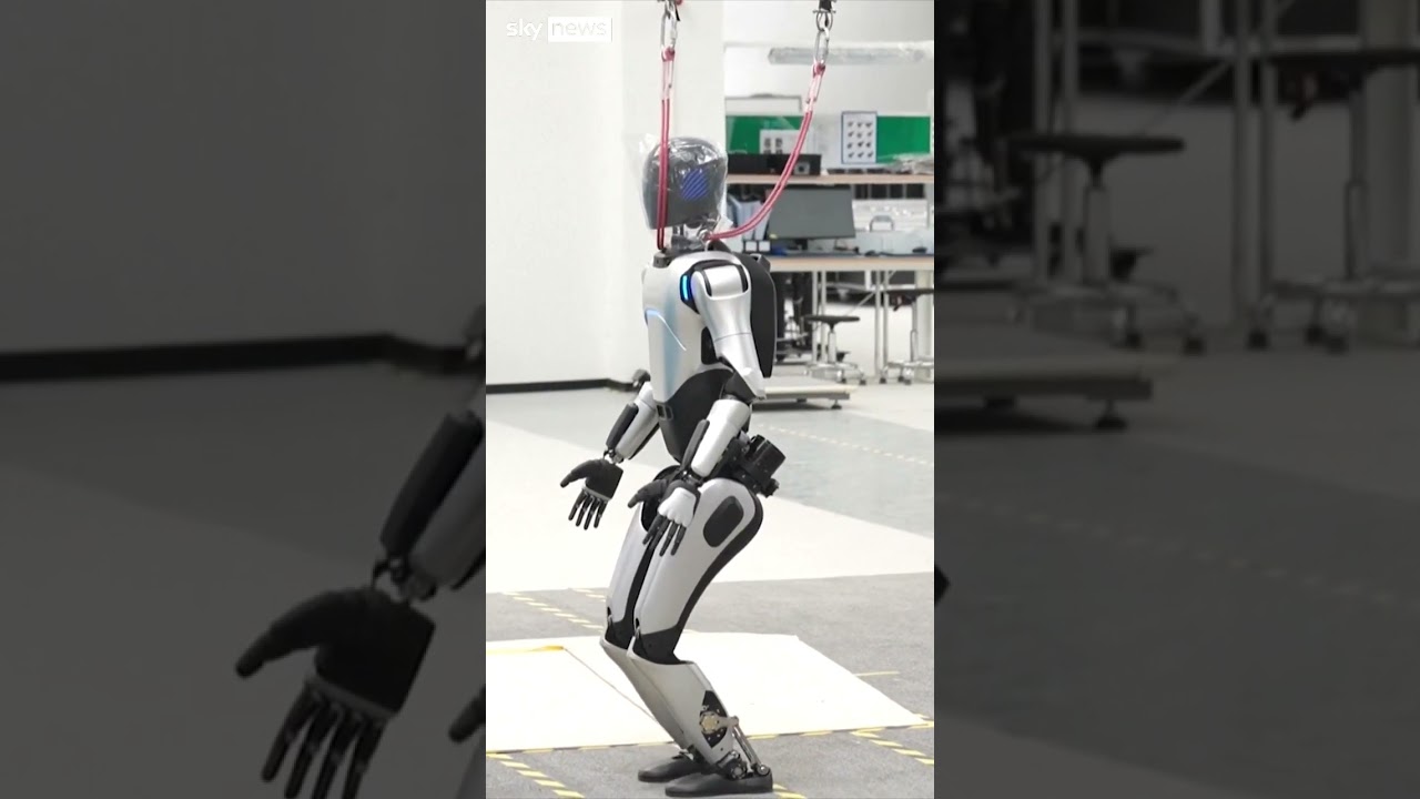 Humanoid robots take on chores