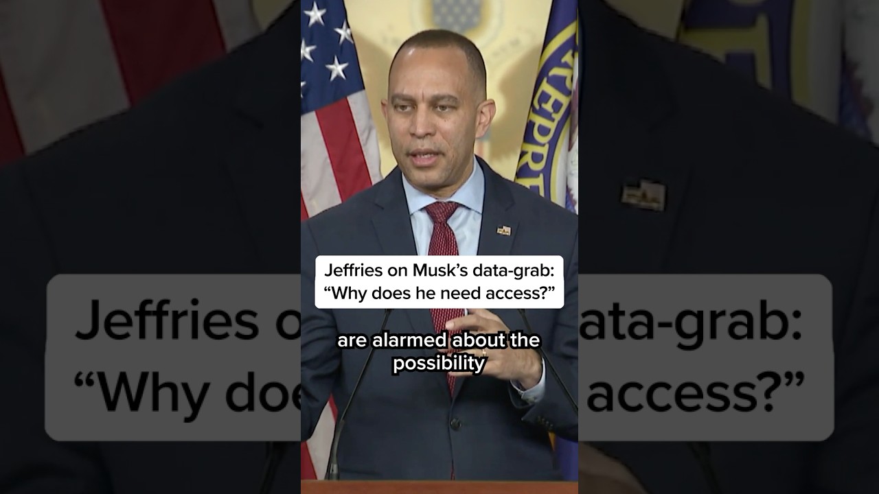 Jeffries on Musk’s data-grab:’Why does he need access?’
