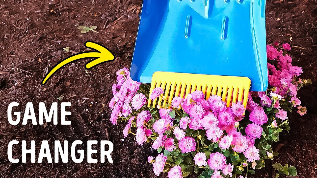 NEW Gardening Hacks You’ll Wish You Knew Sooner
