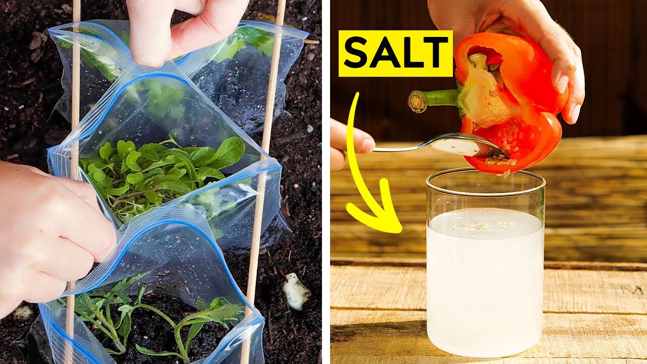 Relaxing Garden Hacks to Transform Your Outdoor Space into a Real Retreat