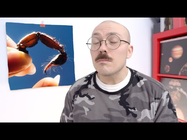 Squid – Cowards ALBUM REVIEW