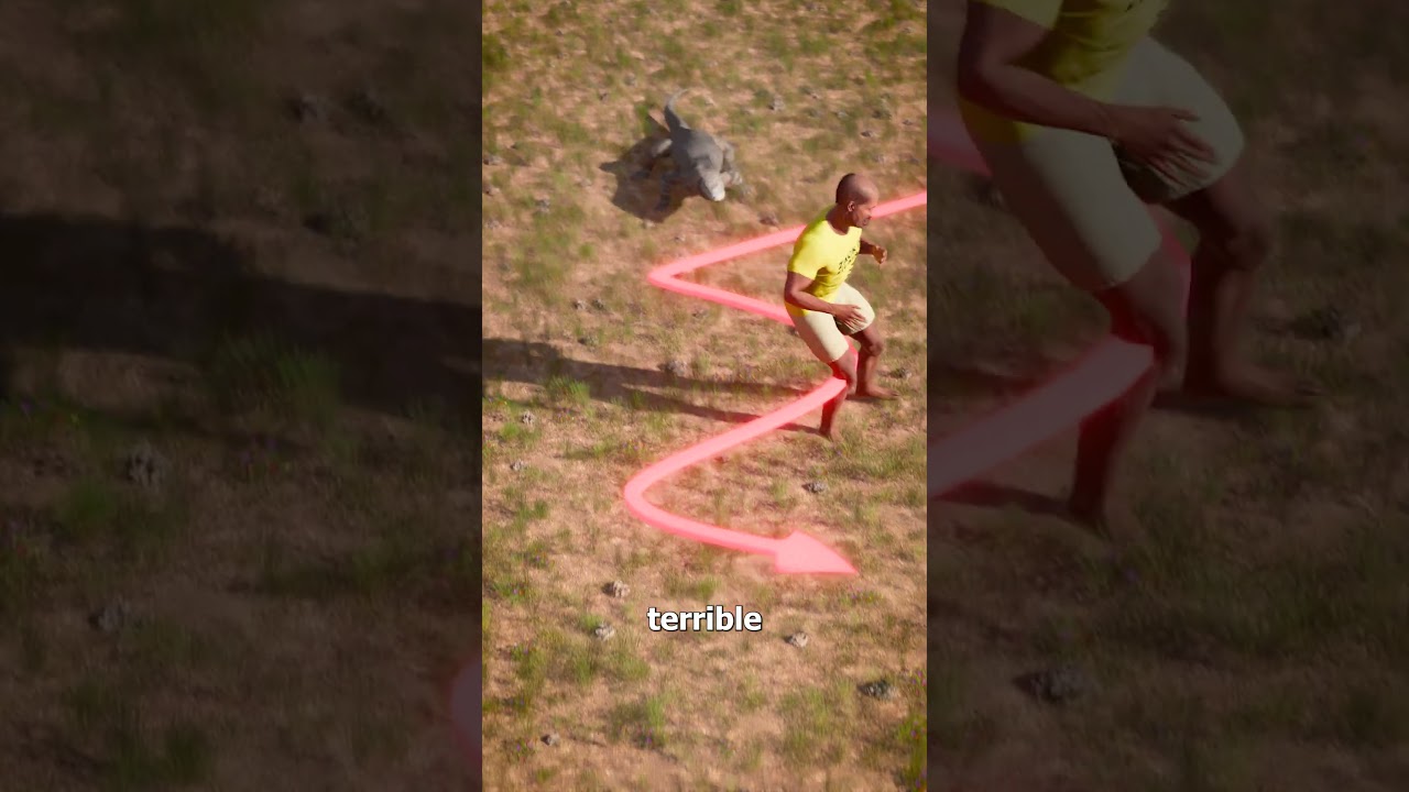 Surviving A Komodo Dragon Attack 😵