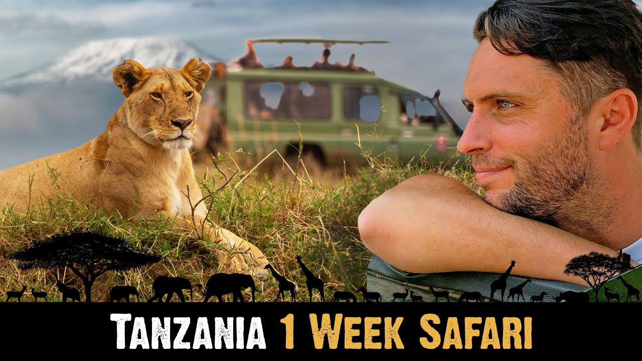 TANZANIA 🇹🇿 1 Week SAFARI | Serengeti, Zanzibar, Ngorongoro Crater