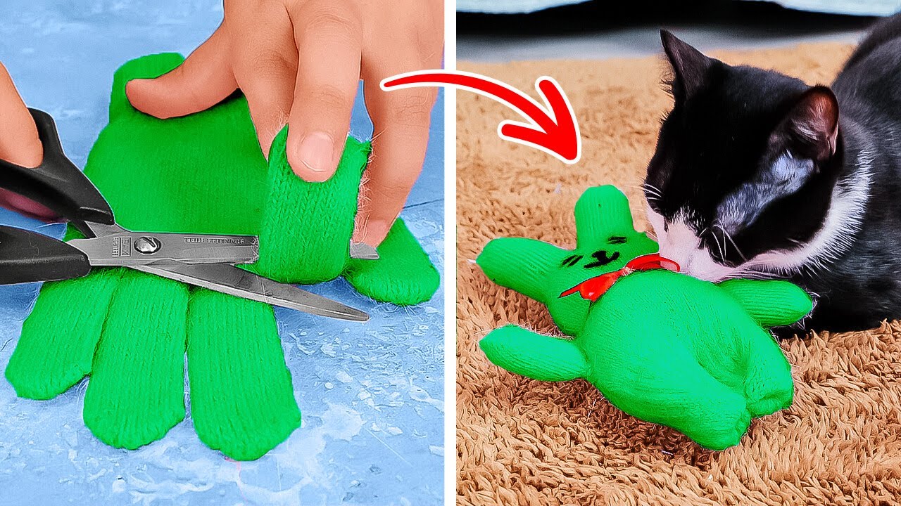🐾✨ THE BEST DIY PET TOYS YOU’LL EVER MAKE!