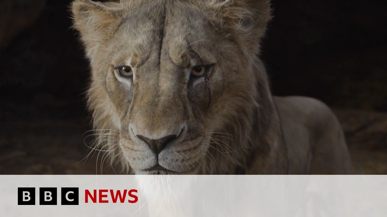 The Lion King: How did a visual effects team bring Mufasa to life? | BBC News