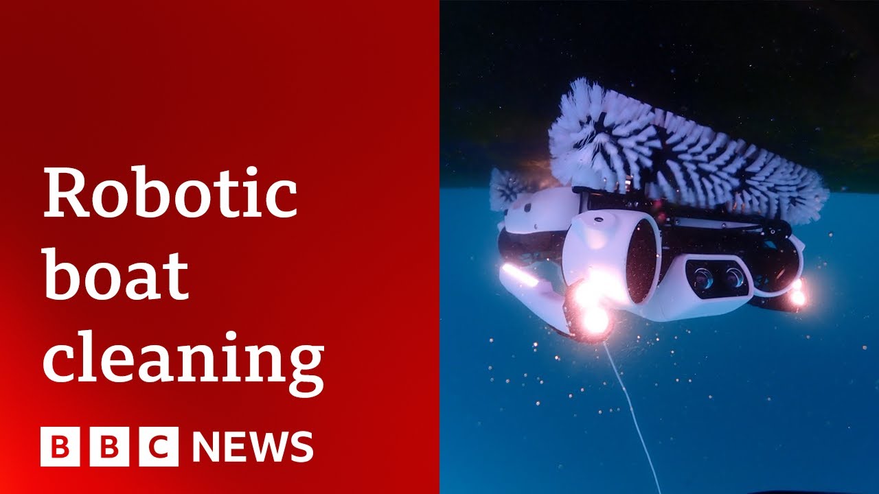 The robotics cleaning Sydney Harbour | BBC News