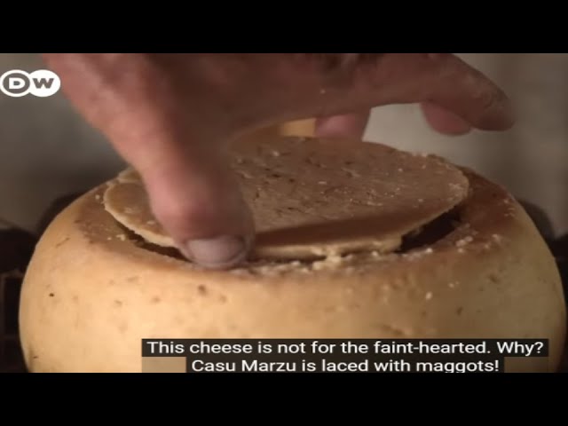 This Cheese is Banned Across the World