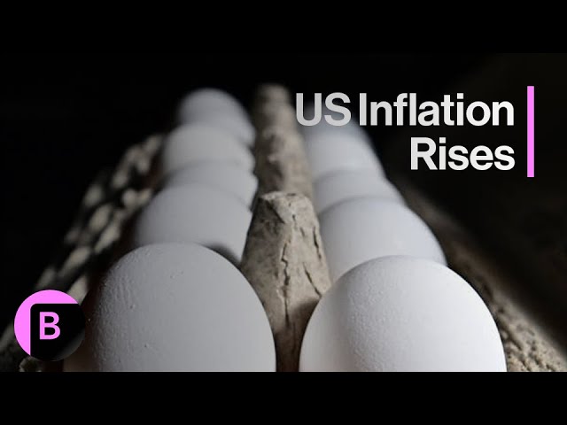 US Inflation comes in hot for January, Egg prices rise 15%